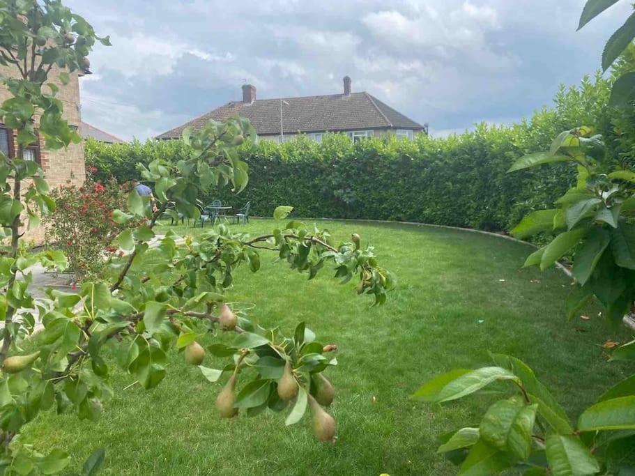 Lovely 1 Bed Studio Apartment With Free Parking Oxford Luaran gambar